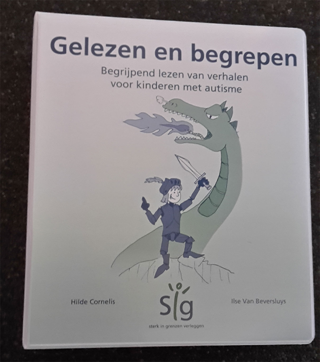 Gelezen-en-begrepen