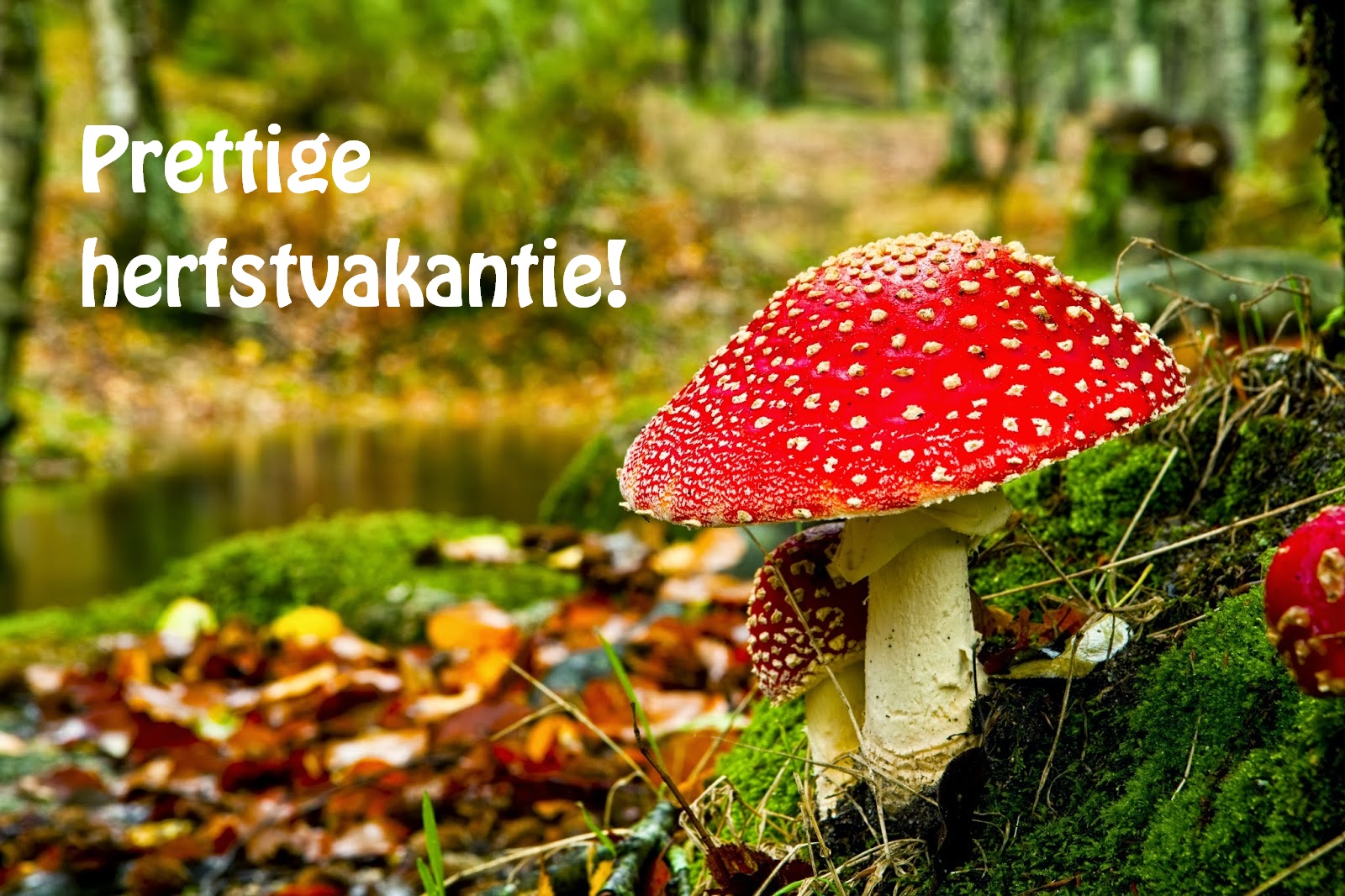 NIEUWS_IMAGE_2015-10-04_1443953830